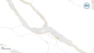 7070 Calacatta Versailles